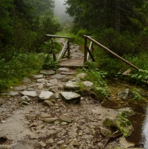 Место силы по фэн-шуй для каждого. 20489.jpeg20491.jpeg Место силы по фэн-шуй для каждого. 20491.jpeg