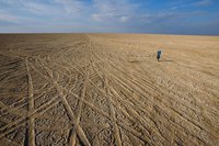 Самые распространенные экомифы. 20809.jpeg Самые распространенные экомифы. 20809.jpeg