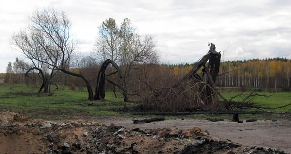 Загадка "блудных мест" под Псковом. 57304.jpeg