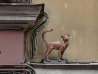Кошки, которые спасли Ленинград. 22341.jpeg