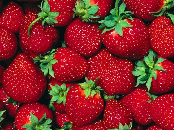 Клубника и огурцы продлят молодость. 52955.jpeg Клубника и огурцы продлят молодость. 52955.jpeg