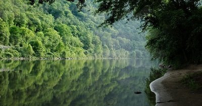 В штате Нью-Джерси из-под воды слышится пение