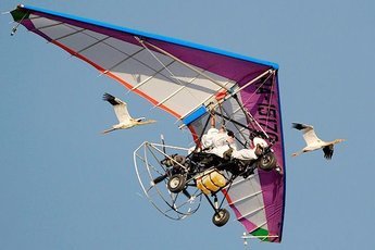 Ивановский зоопарк выращивает 