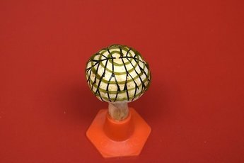 Грибы, напечатанные на 3D-принтере, могут производить электричество