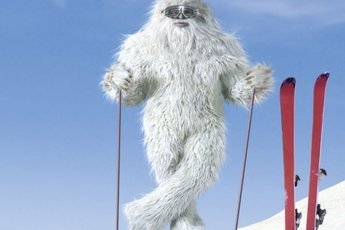 Необычное существо живет на горе Сент-Хеленс в штате Вашингтон
