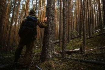 Что можно делать в лесу такого, что укрепит брак. Реальная история