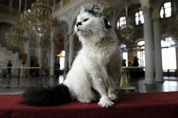 За что царская династия в России полюбила кошек