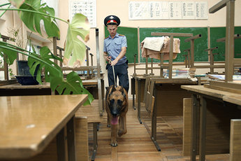 Школьник пять раз 