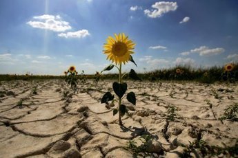 На юге России климат станет более засушливым