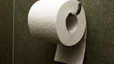 Жителей Германии призывают отказаться от использования туалетной бумаги