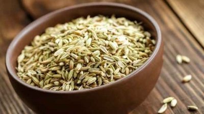 Диетологи рекомендуют фенхель для быстрой потери веса