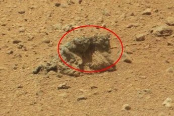 На Марсе обнаружена жизнь