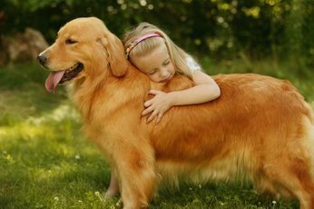 Лучшие породы собак для детей