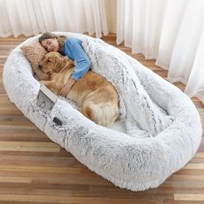 Кровать для собаки и человека: Реальность и популярность