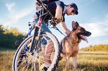 Катание на велосипеде с собакой: Рекомендации и советы