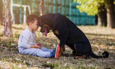 Польза владения собакой для детей: Как дети получают выгоду от наличия собаки