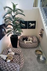 Как сделать идеальную комнату для собаки?