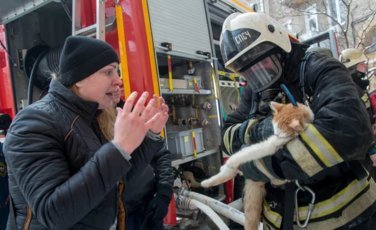 В Магадане спасатели реанимировали котов на пожаре