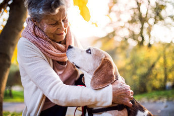 Почему пенсионерам следует завести собаку