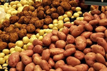 Диетолог рассказала картофель какого цвета полезнее