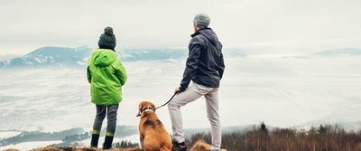 Вещи, которые вам понадобятся в походе с вашей собакой