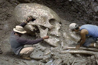 Скелет нечеловеческих размеров был обнаружен в Гоби