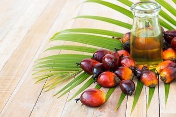 Эксперты рассказали, чем опасно пальмовое масло для организма