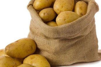 Торговые сети не берут российский картофель