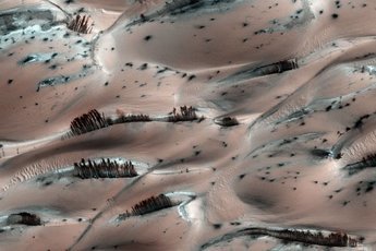 Последние открытия ученых говорят о том, что жизнь могла существовать на Марсе