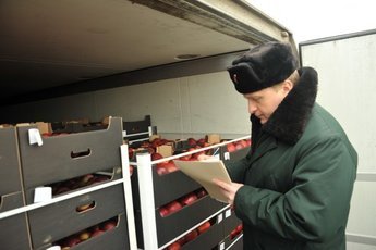 Белоруссия продолжает везти в Россию фрукты неизвестного происхождения