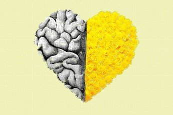 Почему выбор в пользу здоровья сердца приносит пользу мозгу?