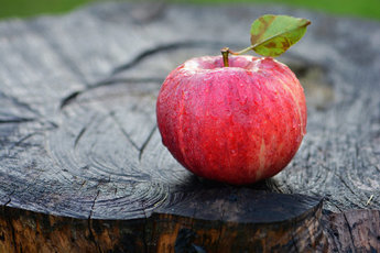 Ученые определили содержание бактерий в одном яблоке