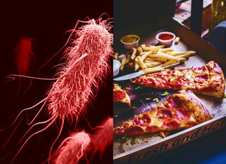 Как бактерии в вашем кишечнике могут влиять на ваши желания к еде