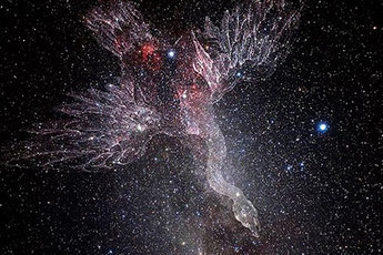 В созвездии Лебедя ученые обнаружили необычную 