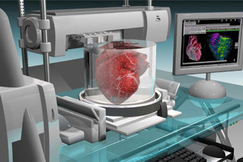 Впервые живое сердце напечатали на 3D-принтере