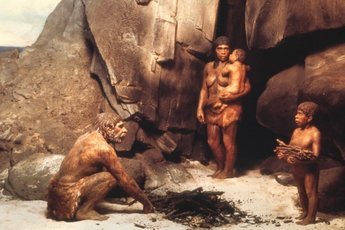 Неандертальцы правили миром?