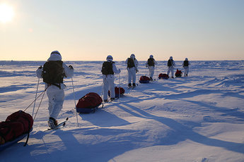 Российские ученые дважды посетят Арктику до конца года