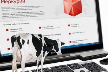 Насколько эффективным окажется электронный контроль качества 
