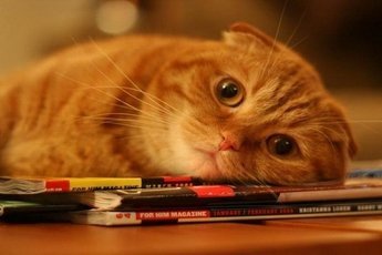 Избавляемся от плохого настроения
