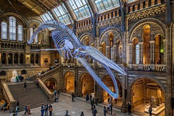 10 удивительных новых музеев по всему миру, которые стоит посетить в 2023 году