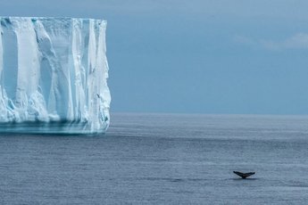 Ледники Антарктиды постепенно тают