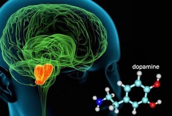 Как повысить уровень дофамина для лучшей работы мозга