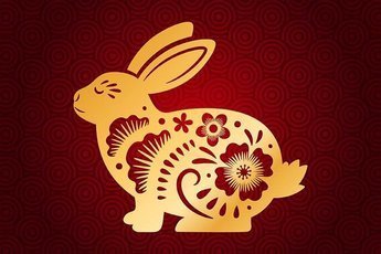 Характерные черты знака Кролика по китайскому гороскопу