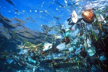 К 2030 году количество пластика в океане увеличится в 2 раза