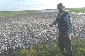 Огромное скопление рыбы наблюдали в Астраханской области