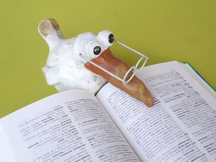 В каком возрасте изучать иностранный язык