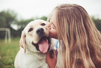 Почему собаки делают нас более счастливыми и здоровыми?