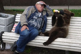 Медведь бросился на полицейских в Красноярском крае