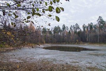 Соцсети: озеро Филипповское слили инопланетяне